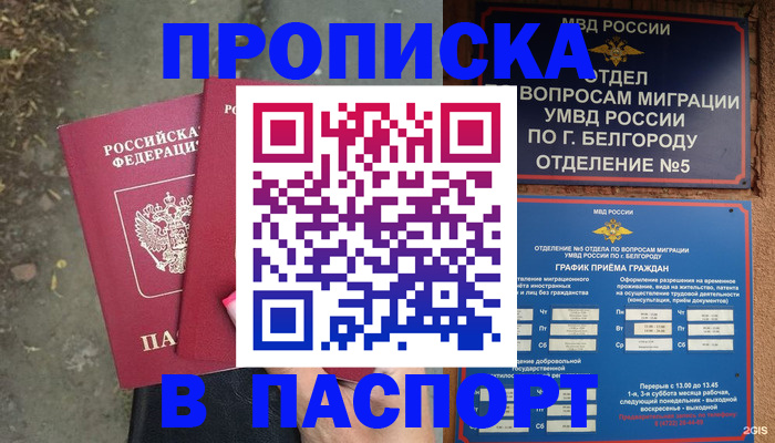 прописка гарантия в Ростове-на-Дону